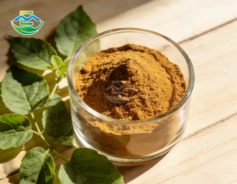 best Gymnema Sylvestre Extract